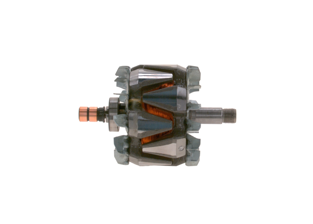 Rotor, alternator