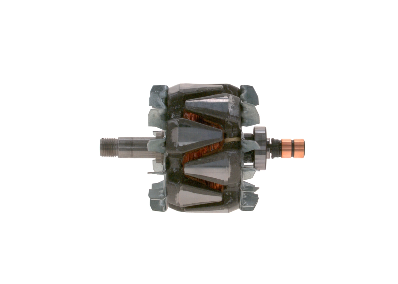Rotor, alternator