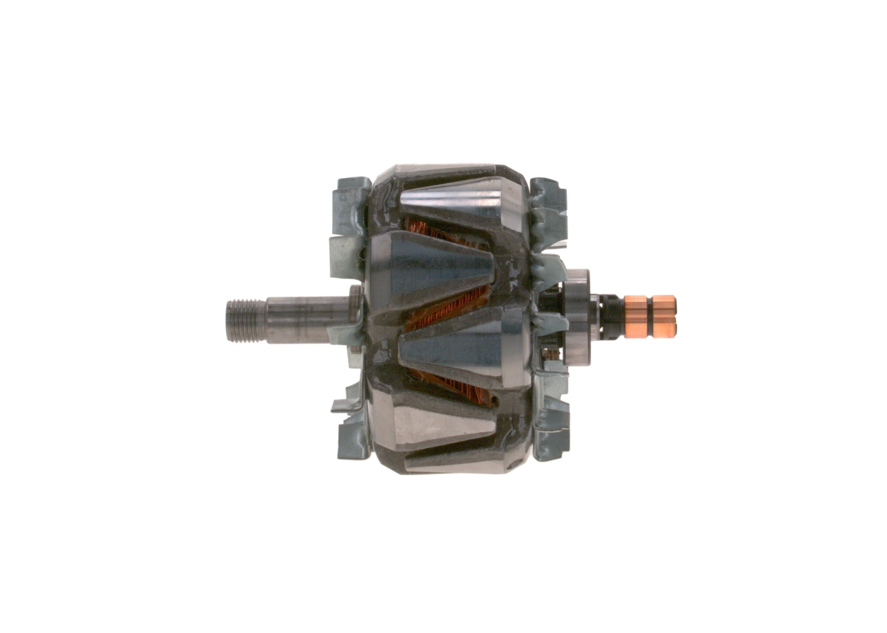 Rotor, alternator