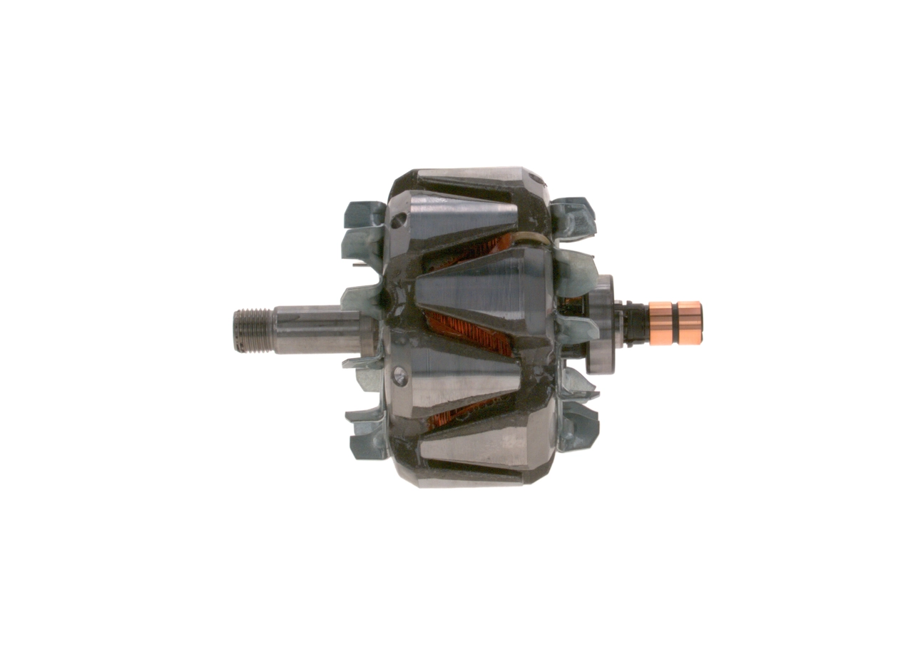 Rotor, alternator