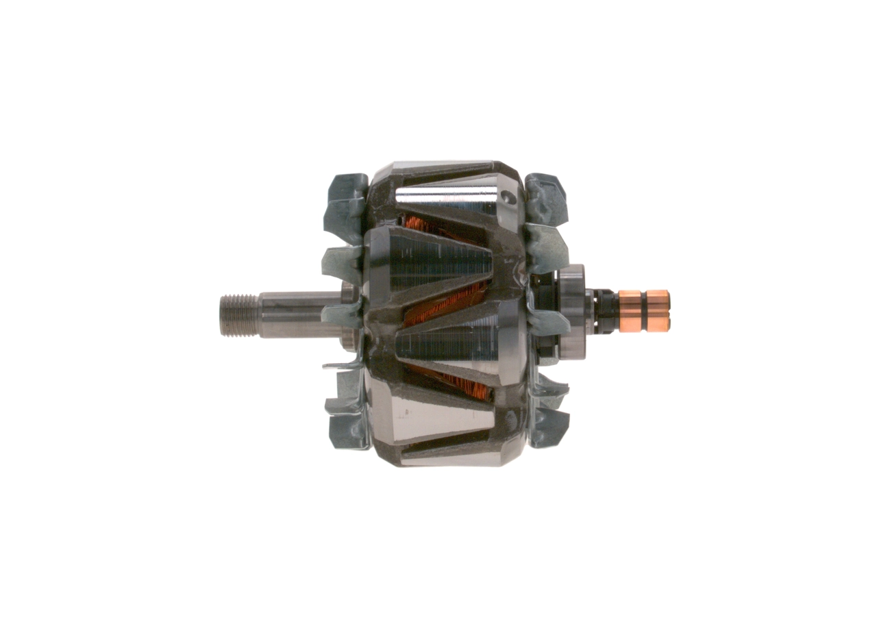 Rotor, alternator