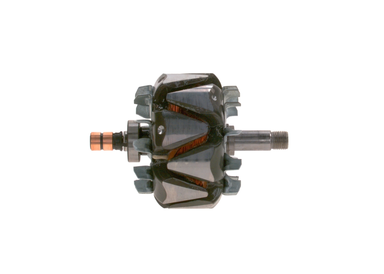 Rotor, alternator