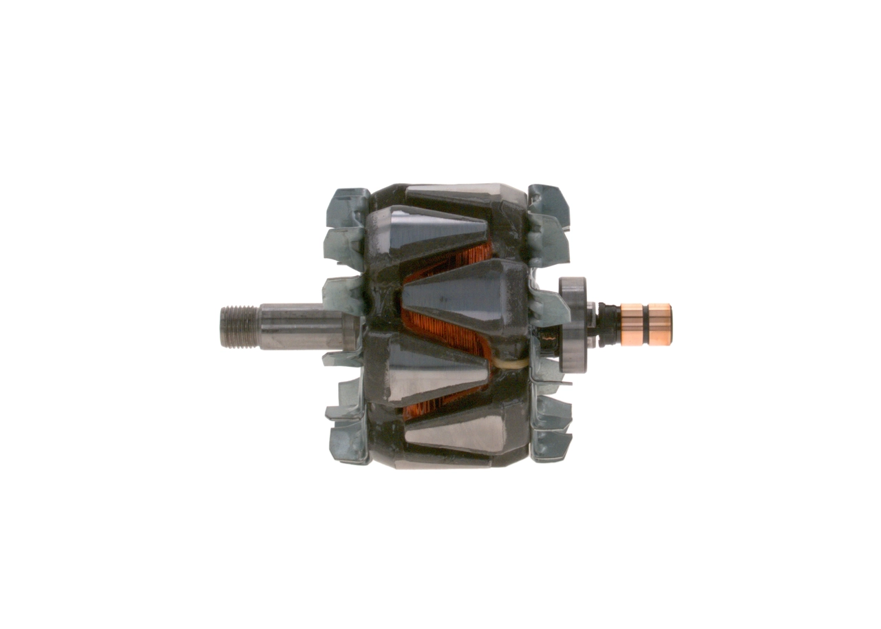 Rotor, alternator