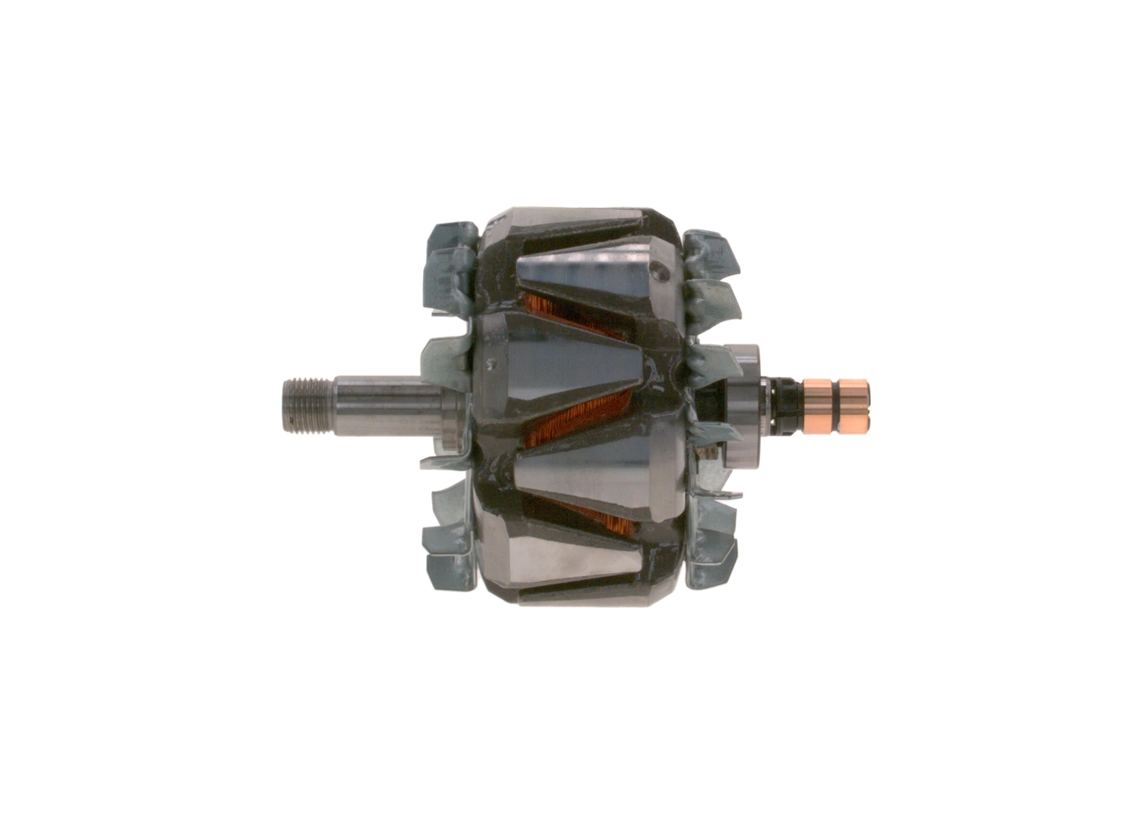 Rotor, alternator