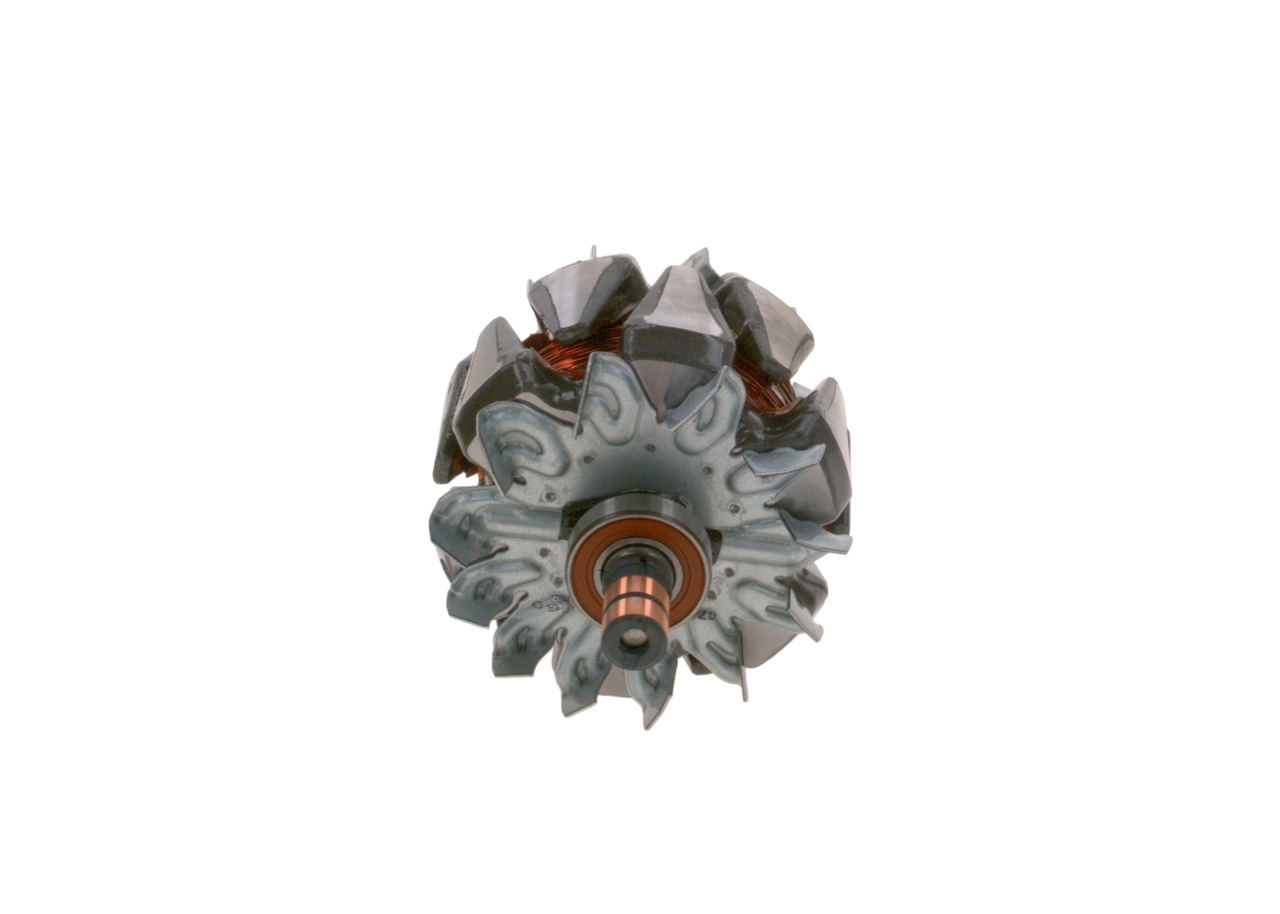 Rotor, alternator