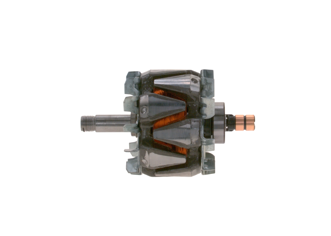 Rotor, alternator