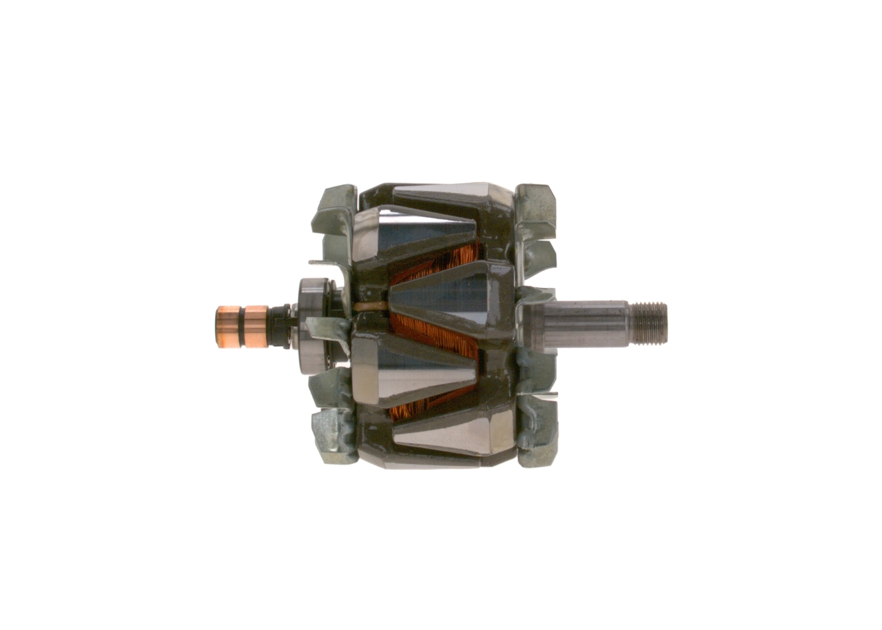 Rotor, alternator