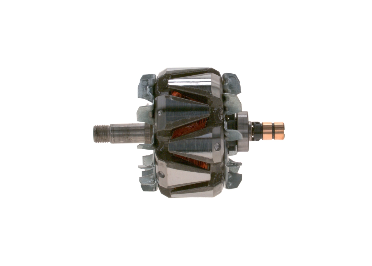 Rotor, alternator