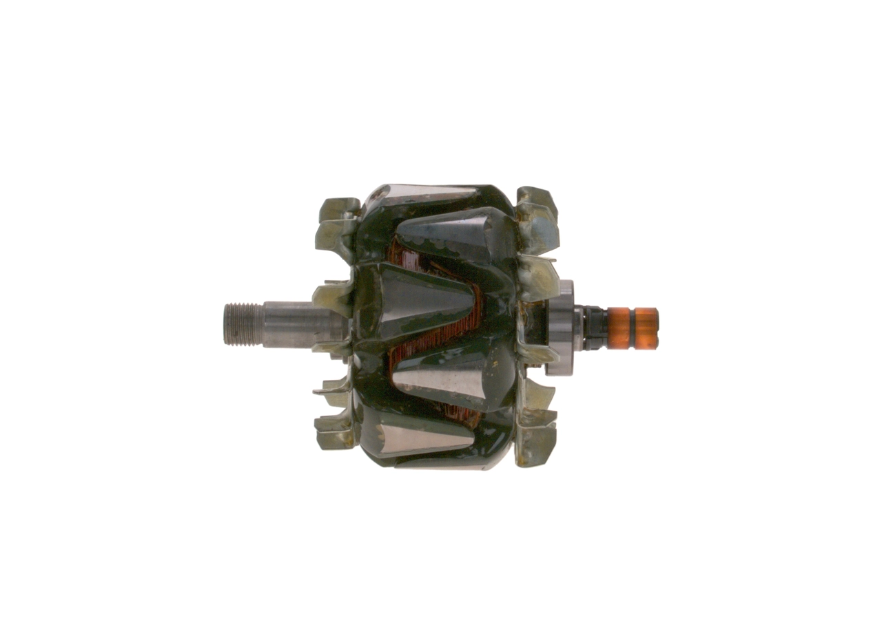 Rotor, alternator