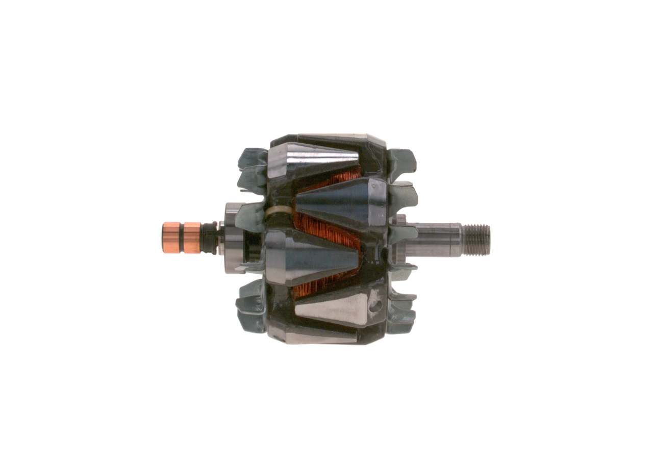 Rotor, alternator
