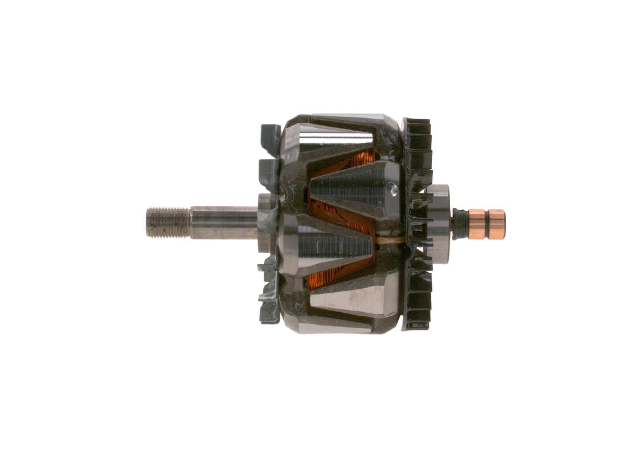 Rotor, alternator