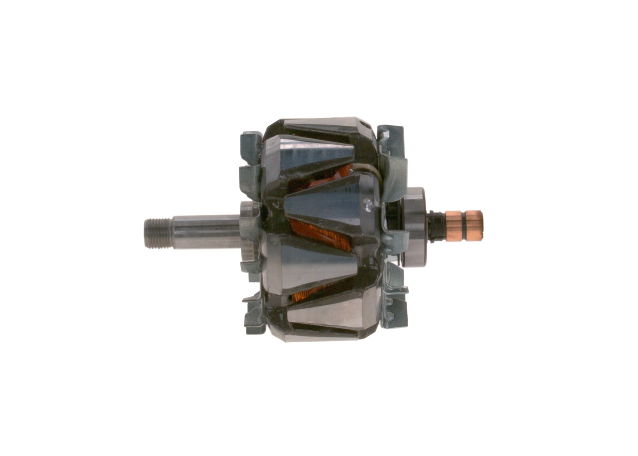 Rotor, alternator