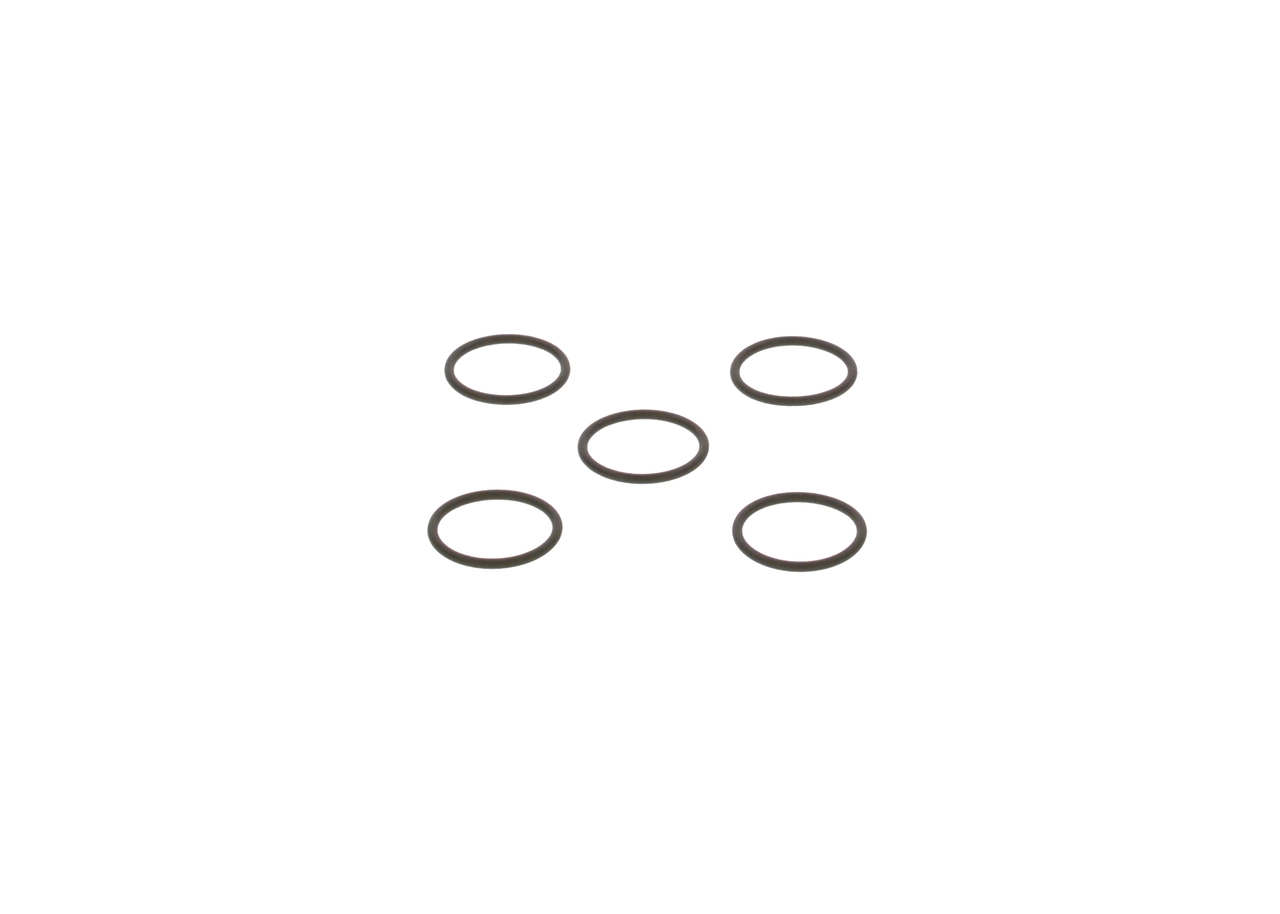 Seal Ring