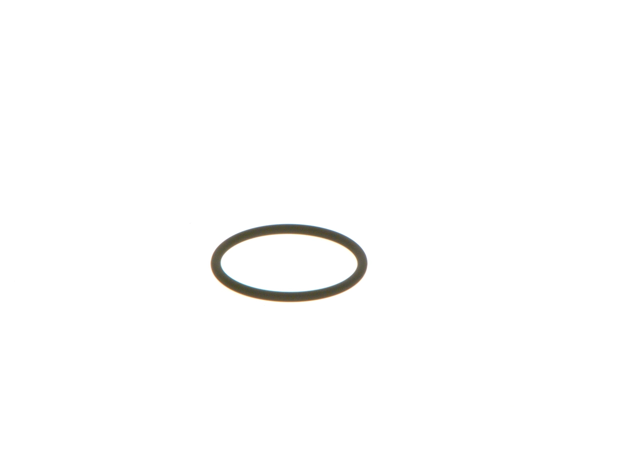 Seal Ring