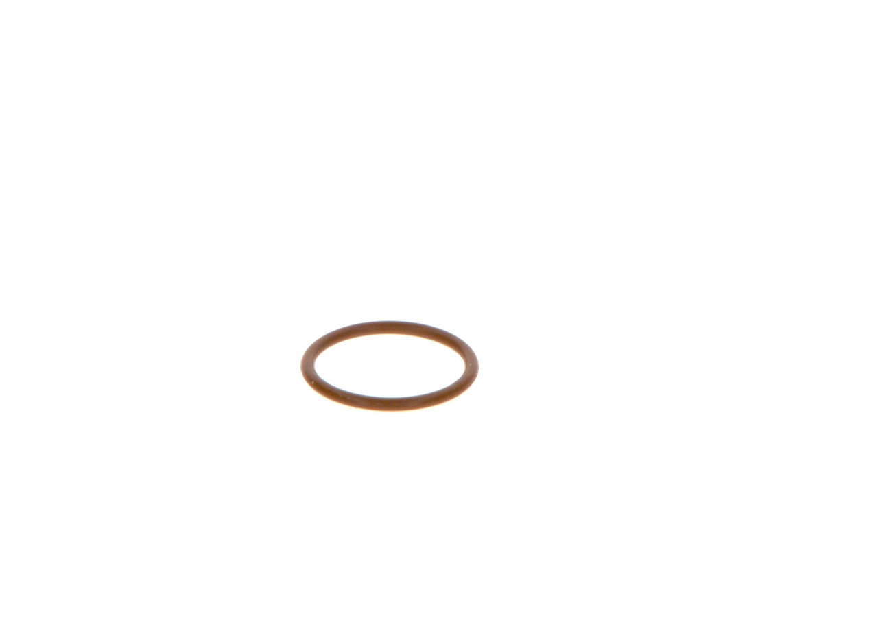 Seal Ring