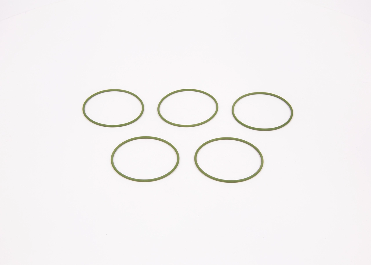 Seal Ring