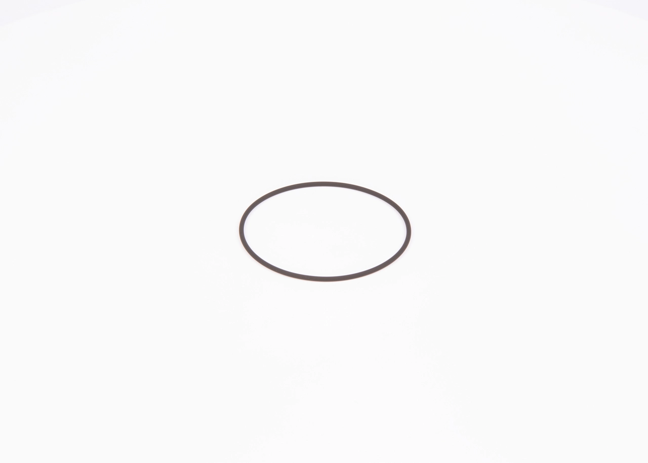 Seal Ring