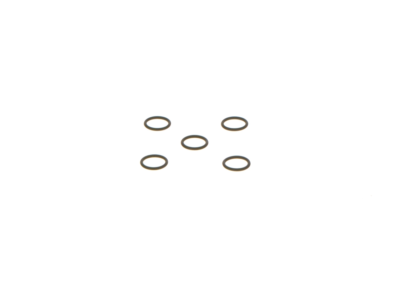 Seal Ring