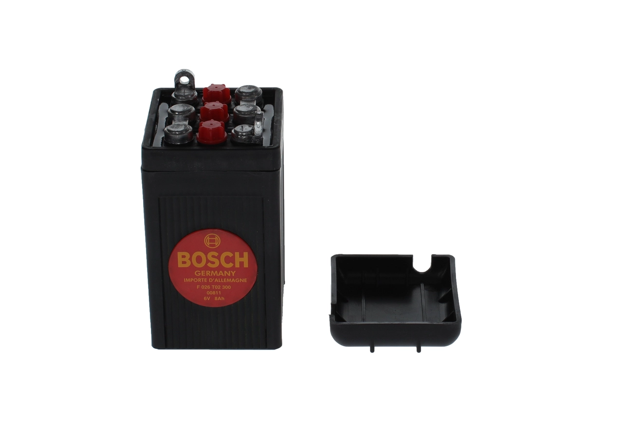 Starter Battery
