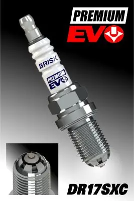 Spark Plug