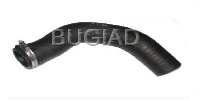 Charge Air Hose