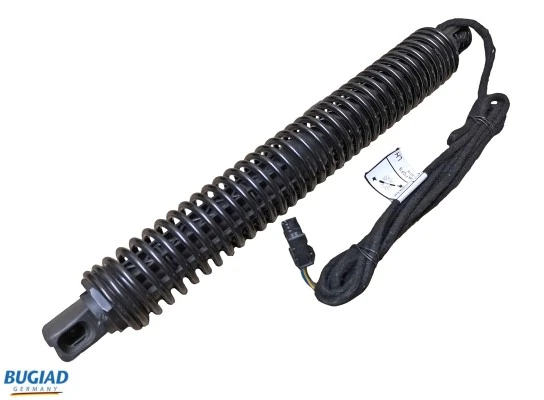 Gas Spring, boot/cargo area