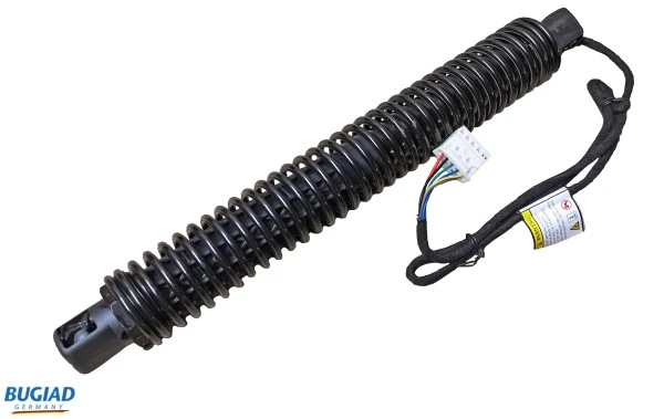 Gas Spring, boot/cargo area