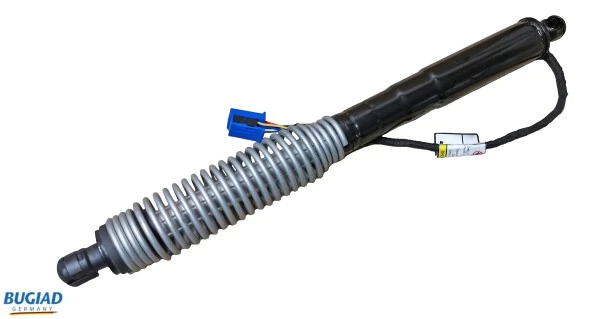Gas Spring, boot/cargo area