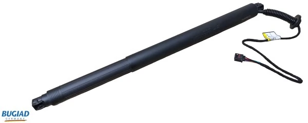 Gas Spring, boot/cargo area
