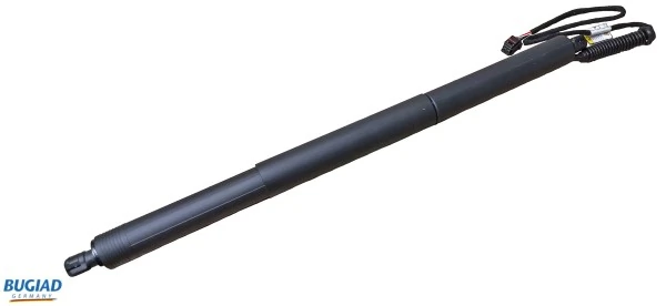 Gas Spring, boot/cargo area