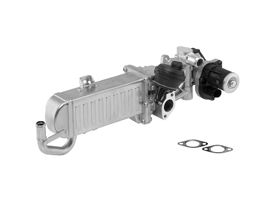 EGR Module