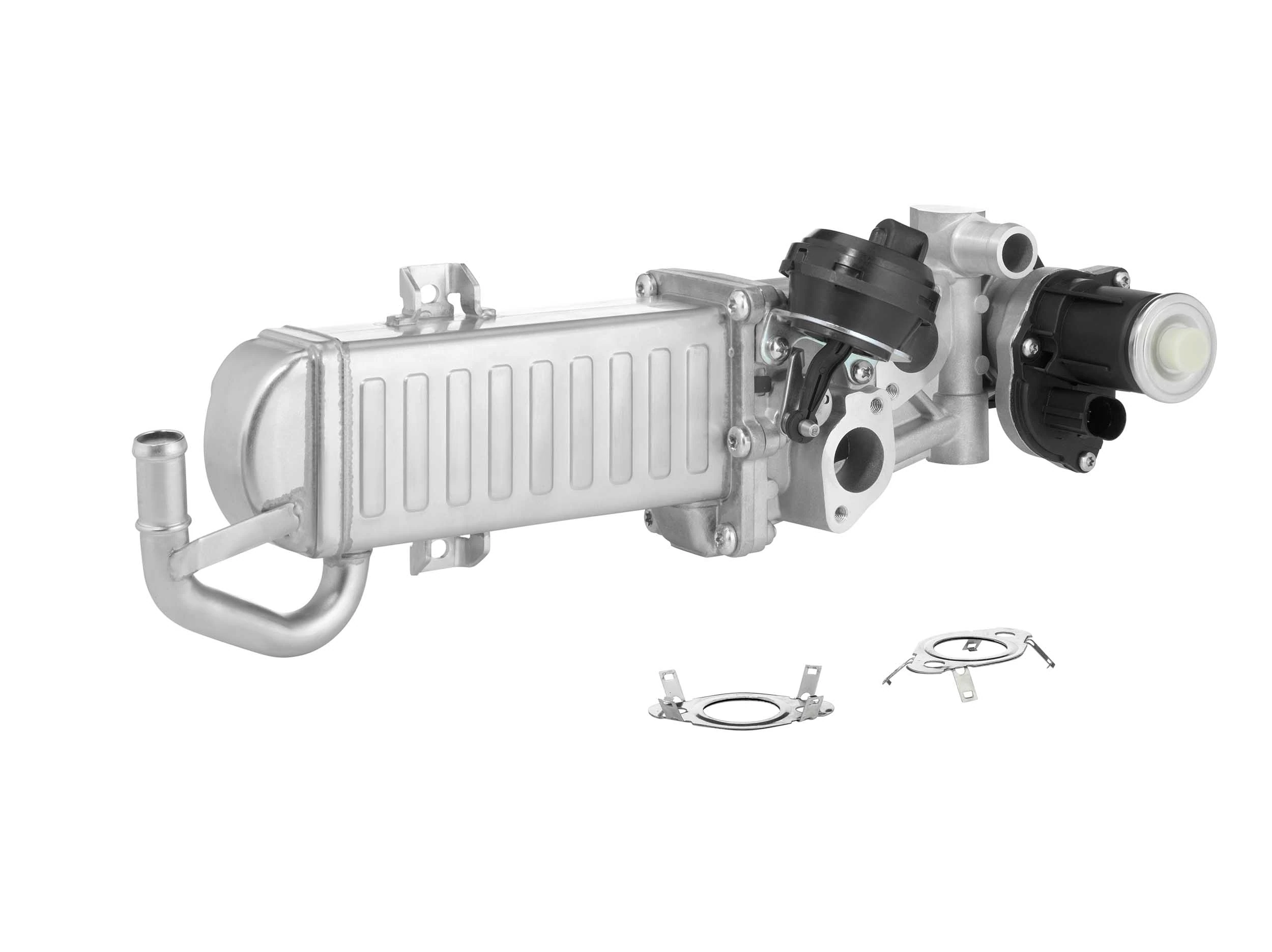 EGR Module