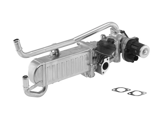 EGR Module