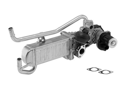 EGR Module