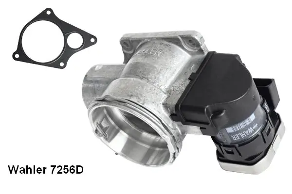 EGR Valve