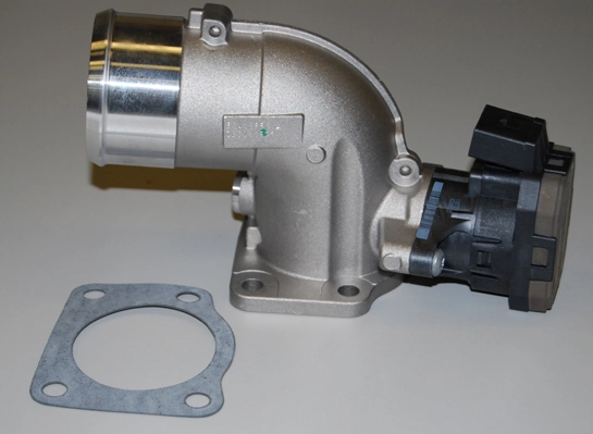 EGR Module