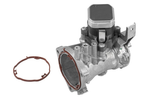 EGR Module