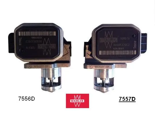 EGR Valve