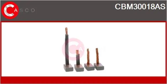 Carbon Brush, starter