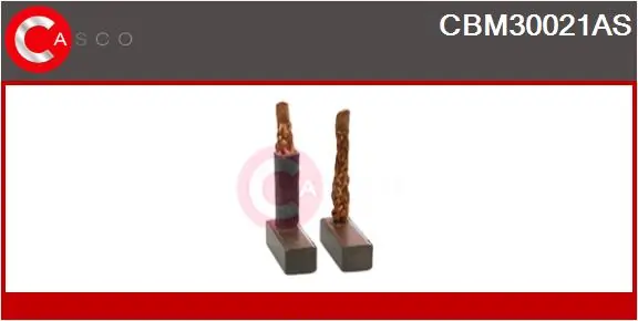 Carbon Brush, starter