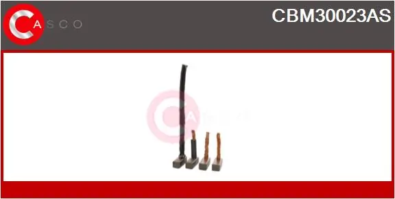 Carbon Brush, starter