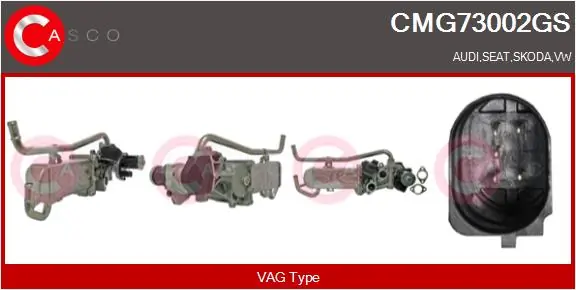 EGR Module