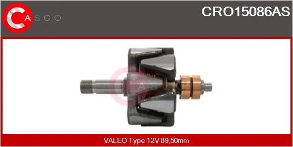 Rotor, alternator