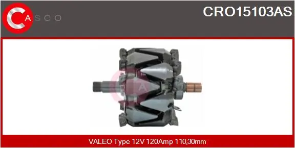 Rotor, alternator