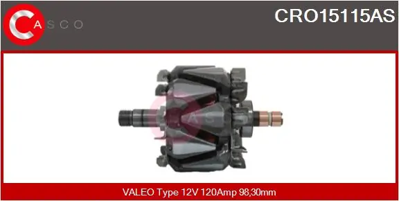 Rotor, alternator
