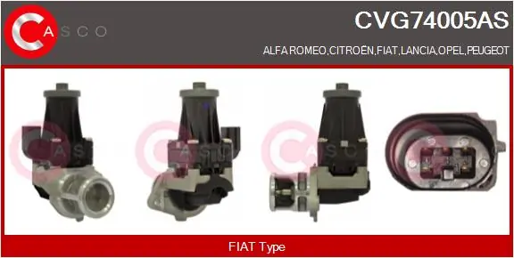 EGR Valve