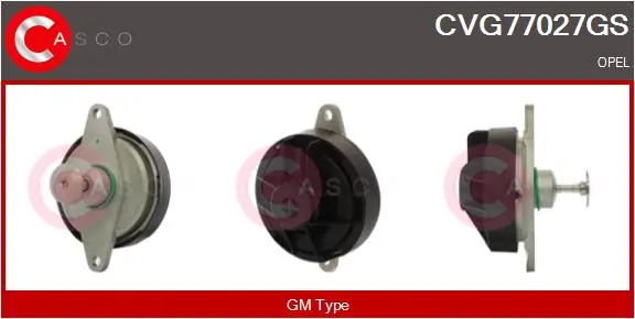 EGR Valve