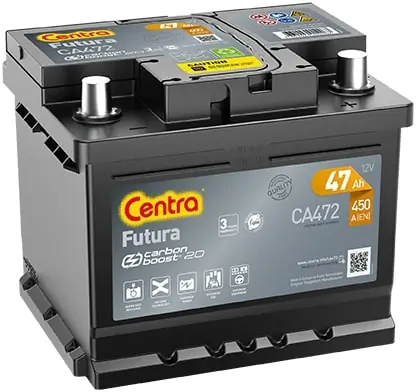 Starter Battery