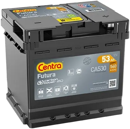 Starter Battery