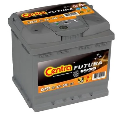 Starter Battery